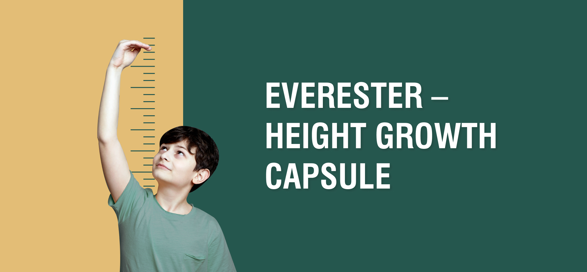 Everester – Height Growth Capsule